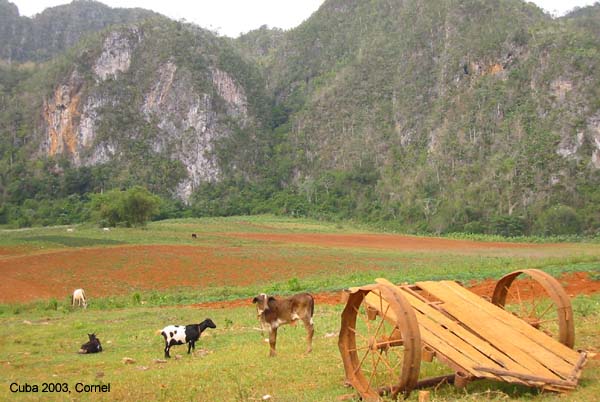 Landschap Viñales
