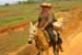 Cowboys in Viñales
